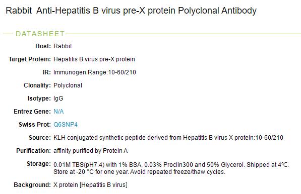 乙型肝炎病毒X蛋白HBX抗体