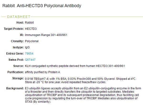 E3连接酶抑制素受体3抗体